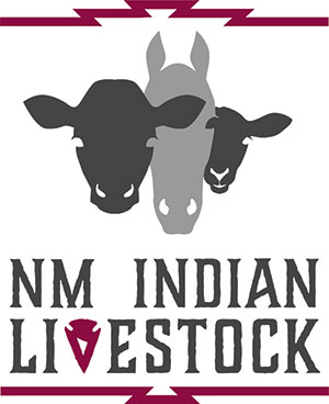 Image of NMIL Logo